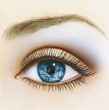 blueeyes-main_Full.jpg, 29 KB